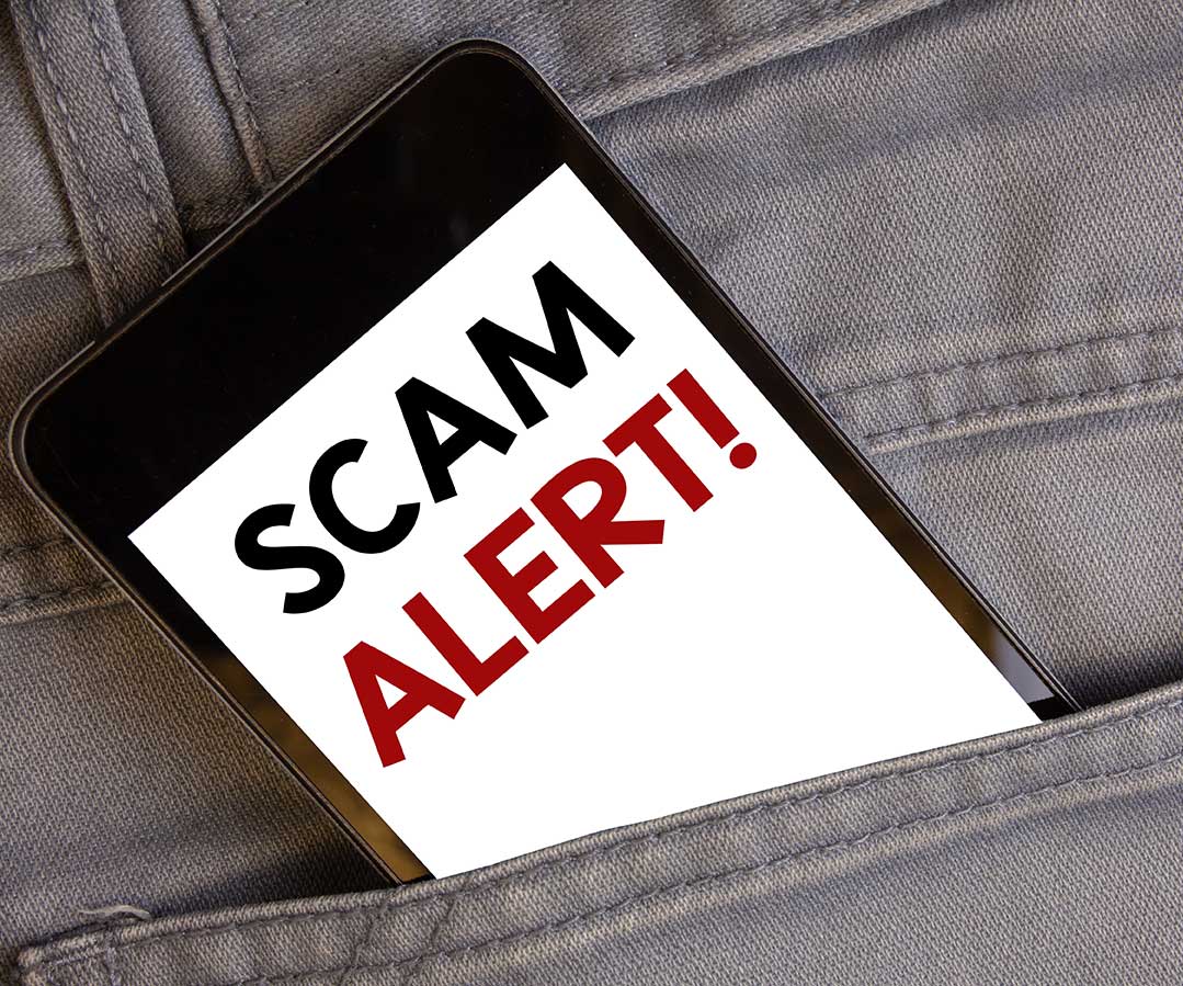 Avoid Scams card in back pocket